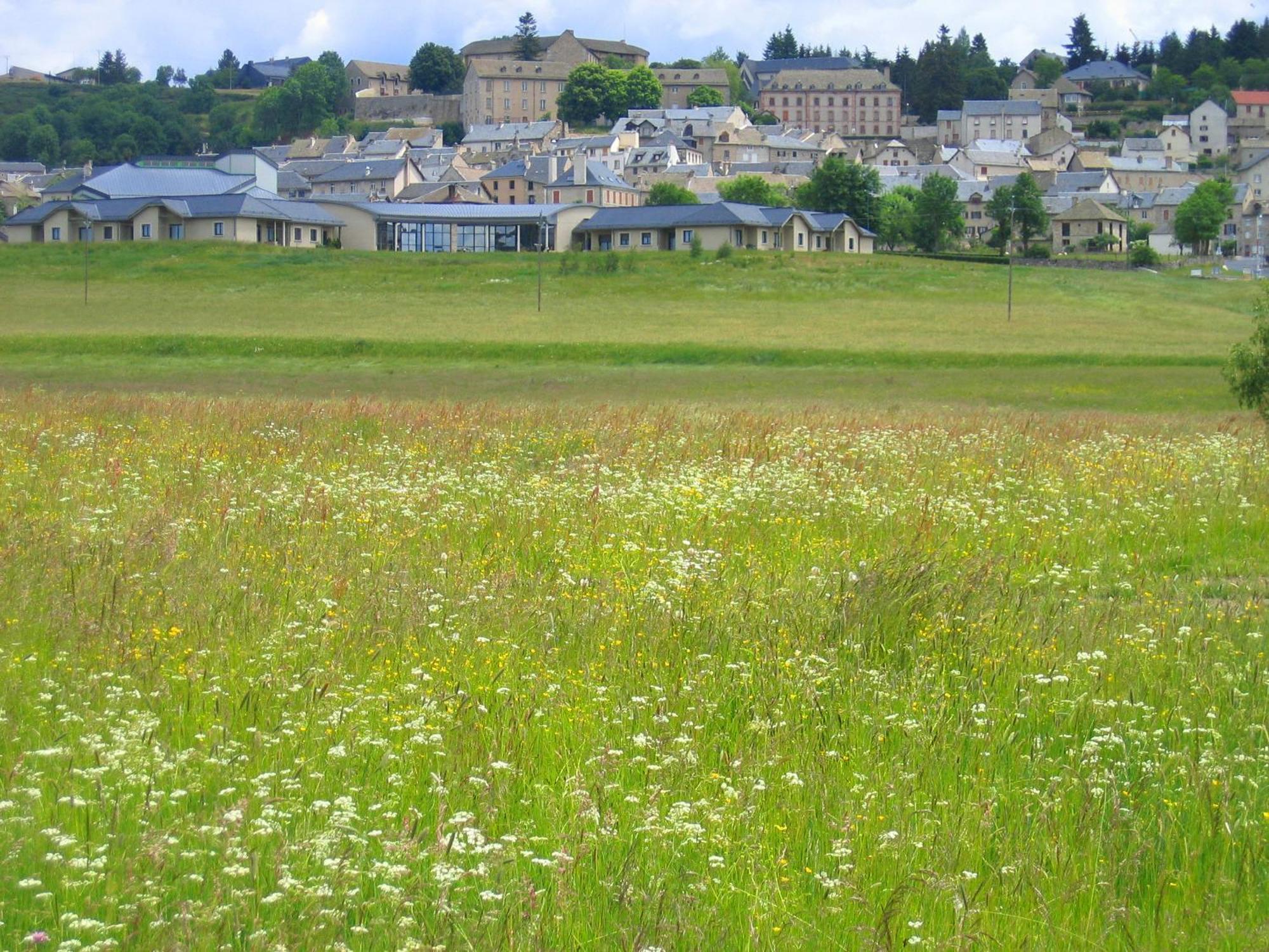 Lozere Aubrac Margeride Promo Apartment Saint-Alban-sur-Limagnole ภายนอก รูปภาพ